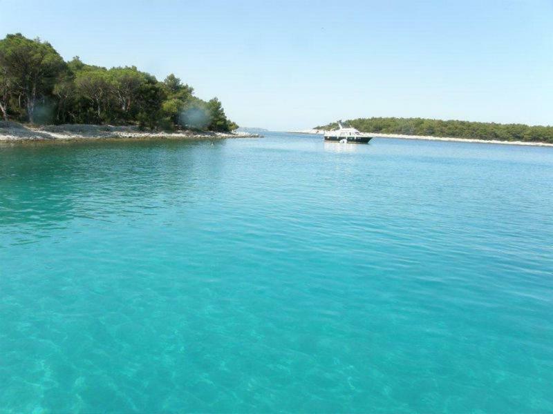 Apartments Vila Tisa Mali Lošinj Eksteriør bilde